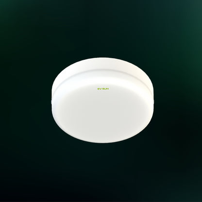 Surface-Mounted Downlight